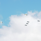 Image credit: Breitling